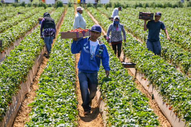 Farm Supervisor in Canada