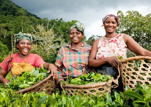 Farm Worker Job in Canada