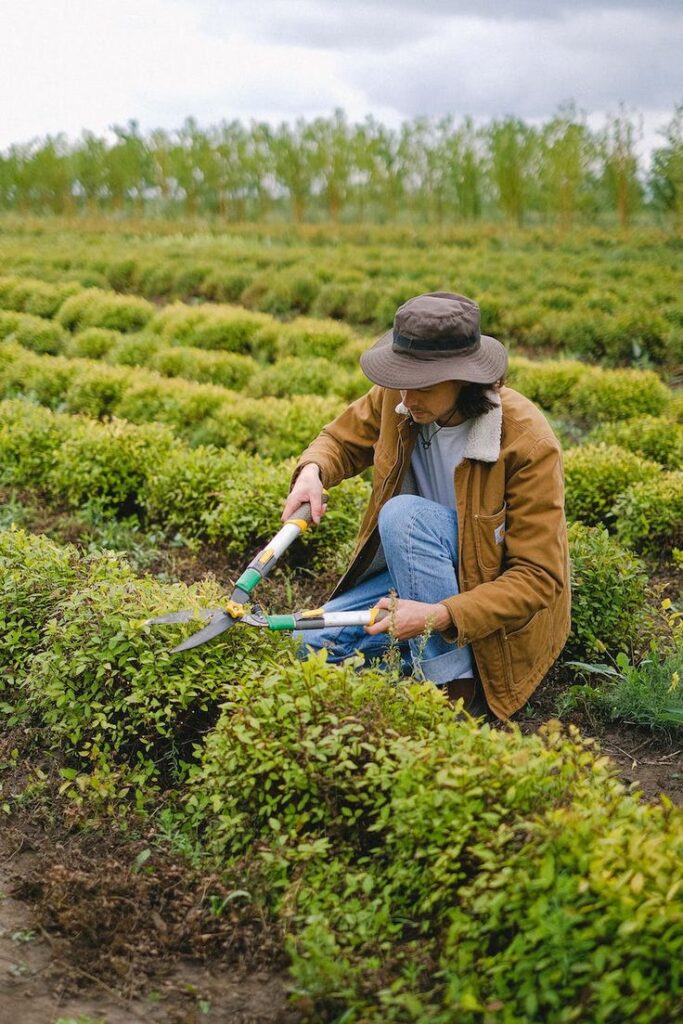 Farm Worker Job in Canada