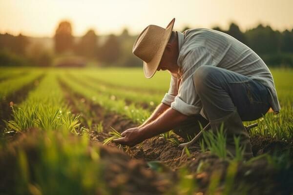 Farm Worker Job in Australia