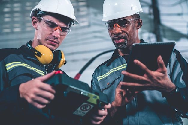 Factory Worker Job in Auckland