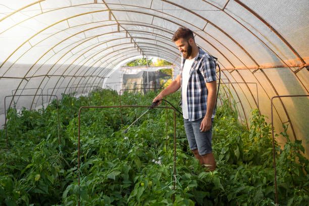 Farm Worker Job in Canada