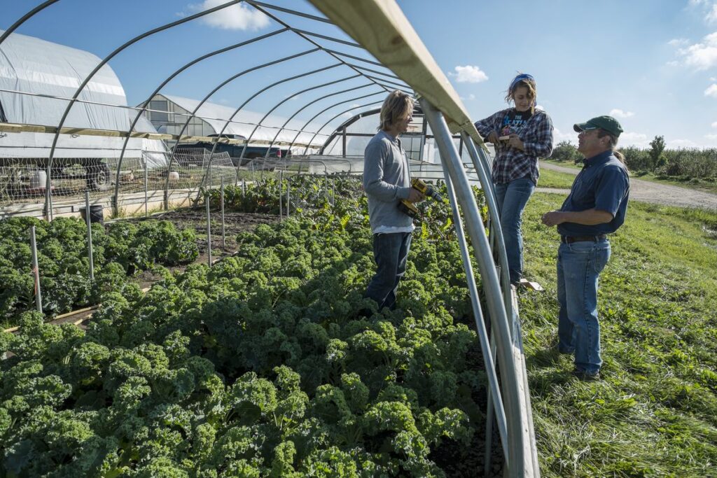 Horticulture Job in New Zealand