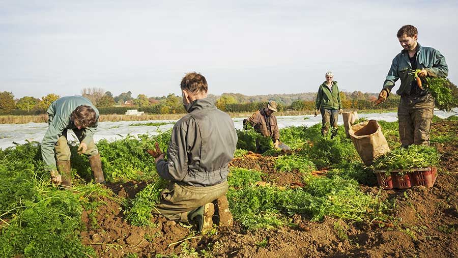 General Farm Worker Job in Canada