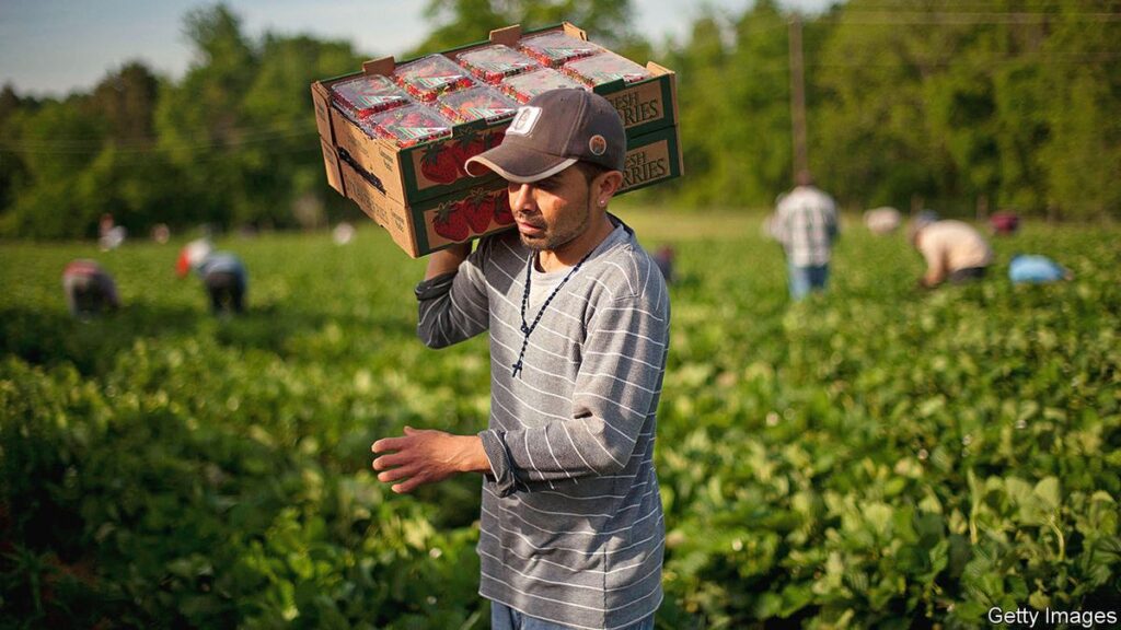 Farm Worker Job in Saudi Arabia