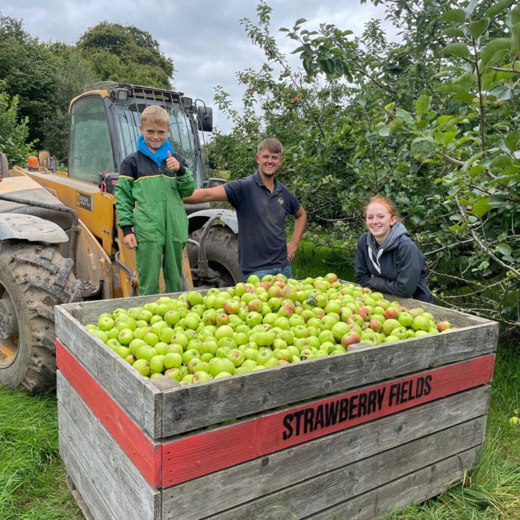 Fruit Farm Supervisor Job in Dubai