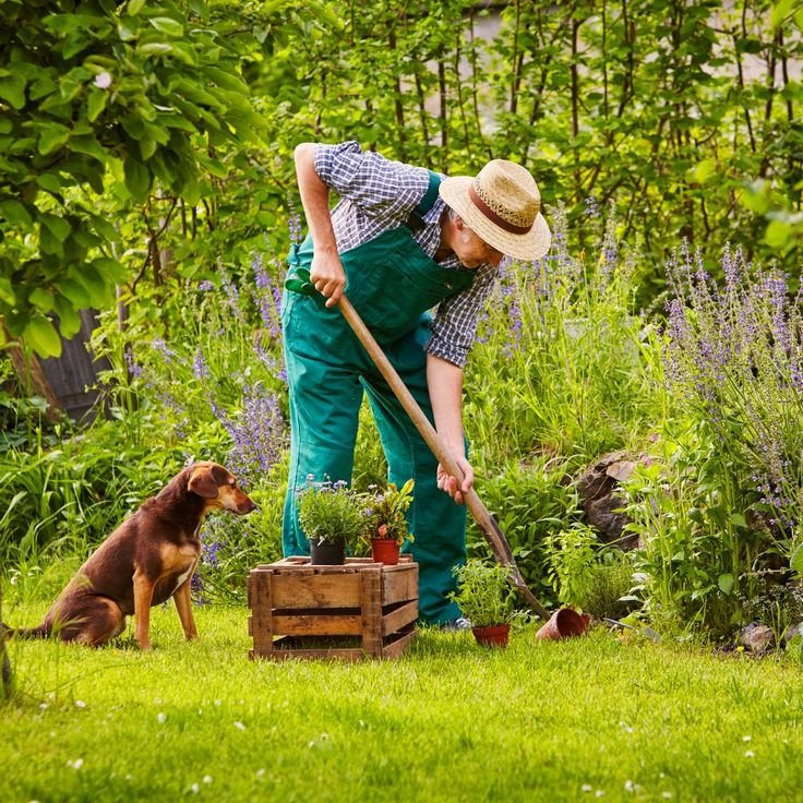 Gardener Job in Australia