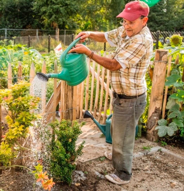 Gardener Job in New Zealand
