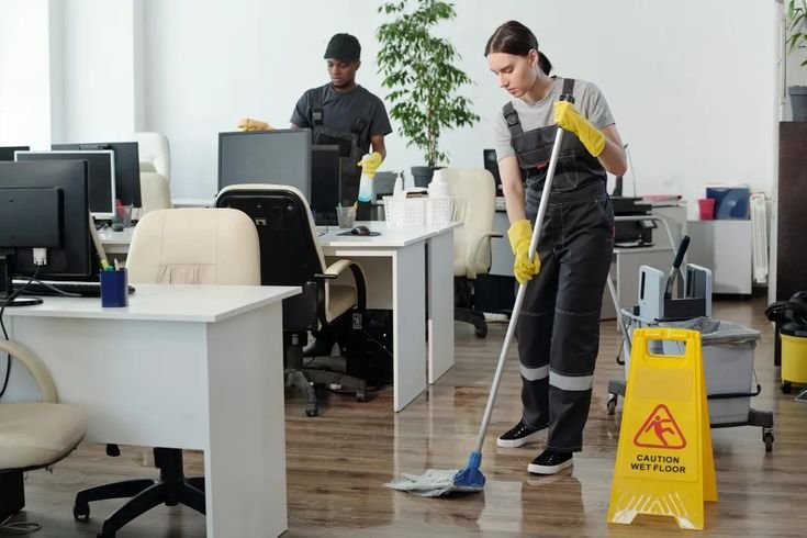Cleaner Job in New Zealand