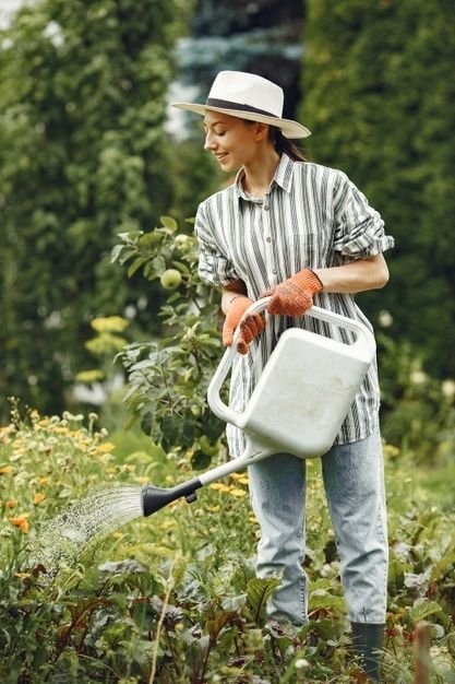 Gardener Job in Auckland