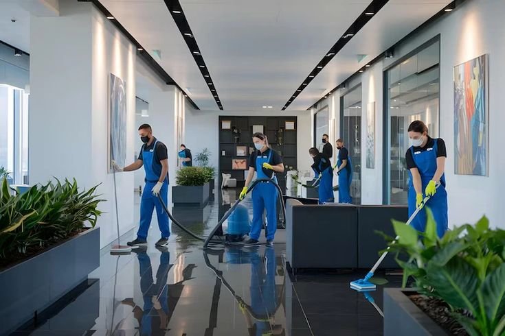 Cleaner Job in New Zealand