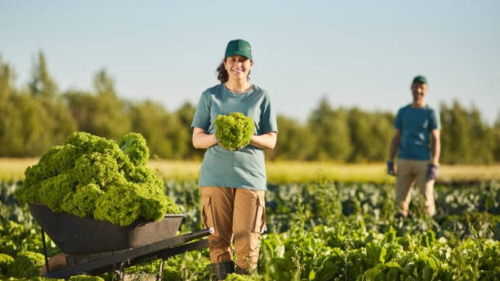 Vegetable Farm Worker Jobs in France