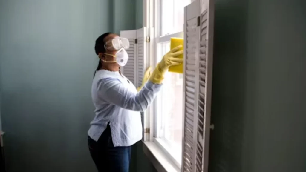 Cleaner Job in Madagascar (1)