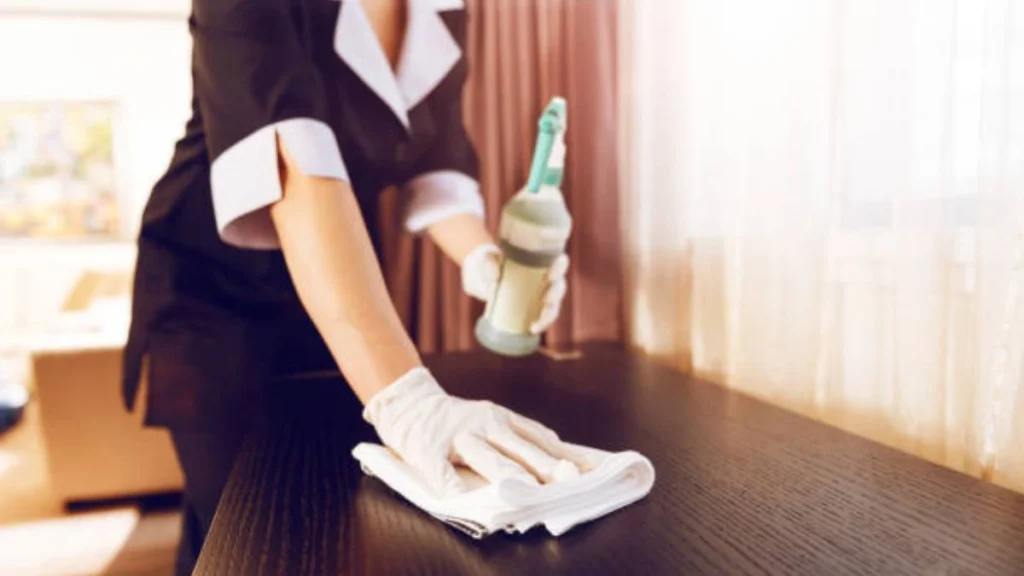 Cleaner Job in Czechia