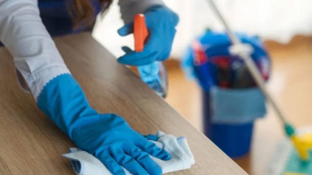 Cleaner Job in Czechia