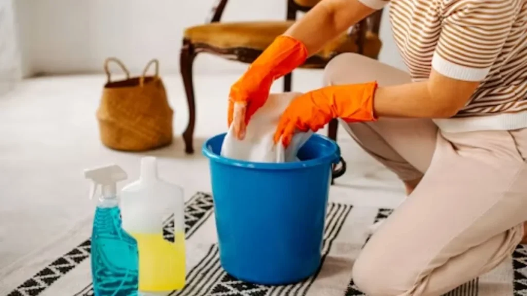 Cleaning Assistant Job in Mexico