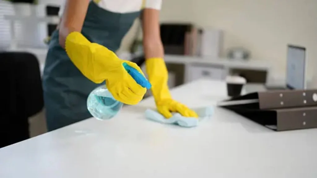 Housemaid Job in Czechia