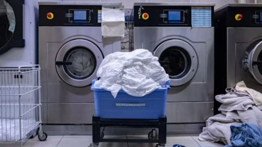 Laundry Attendant Job in Spain