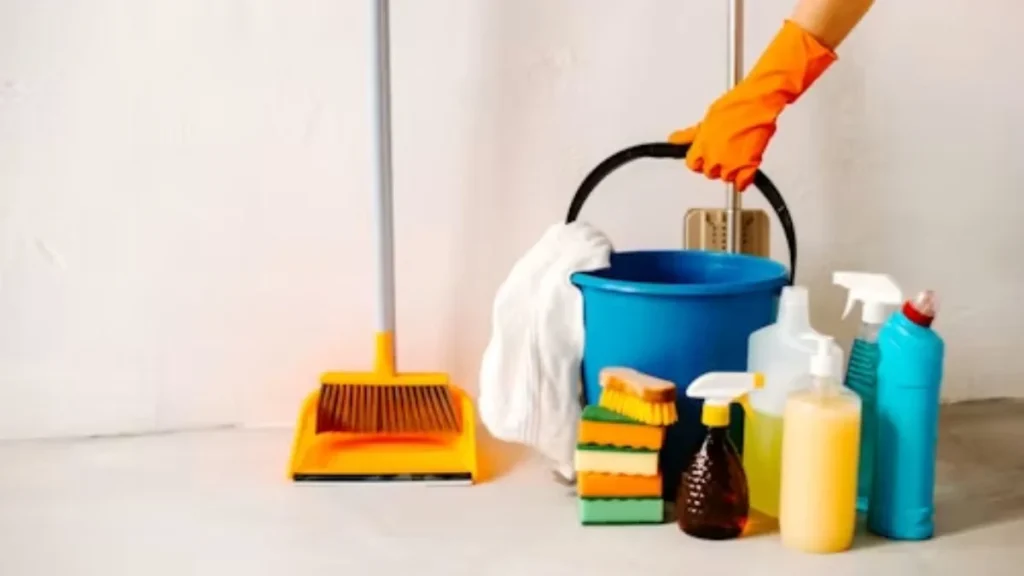 Cleaning Job in Spain